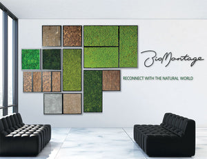 NewReindeer Moss Living Wall Panels – Living Art USA